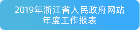 2019年浙江省人民政府网站年度工作报表